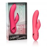 California Dreaming San Francisco Sweetheart Rabbit with Box