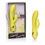 California Dreaming Venice Vixen with Packaging