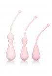 Inspire - Weighted Silicone Kegel Training Kit