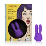 Mini Marvels Silicone Marvelous Bunny Box