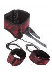 Scandal - Posture Collar with Cuffs